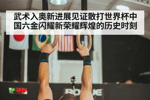 武术入奥新进展见证散打世界杯中国六金闪耀新荣耀辉煌的历史时刻