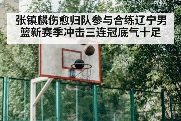 basketball training